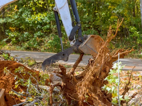land clearing for housing