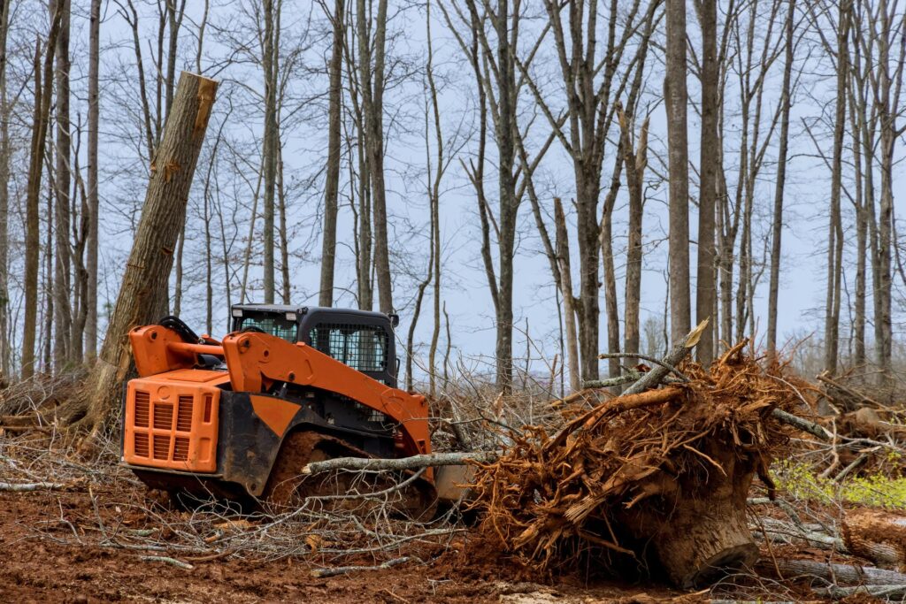 property clearing backhoe clearing tree roots